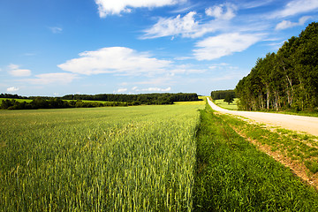 Image showing not paved rural road