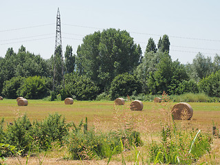 Image showing Hay bale