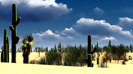 Image showing American desert