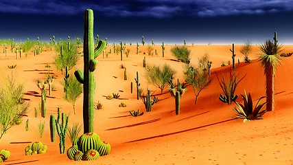 Image showing American desert