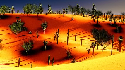 Image showing American desert