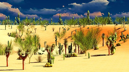 Image showing American desert