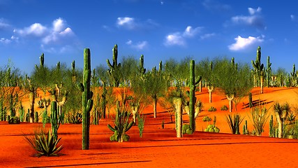 Image showing American desert