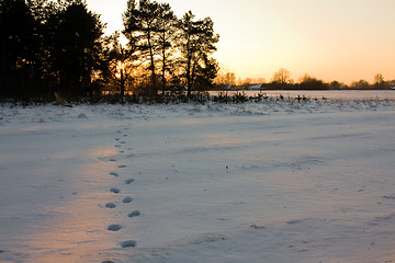 Image showing  winter time