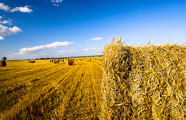 Image showing  harvest company