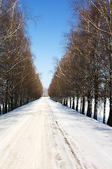 Image showing  road winter