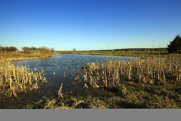 Image showing bog. fall  