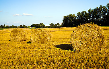 Image showing  harvest company