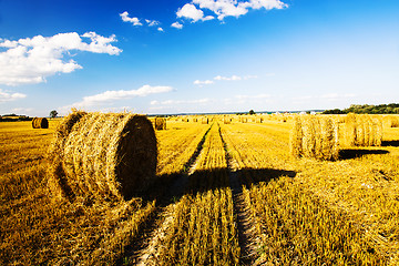 Image showing  harvest company