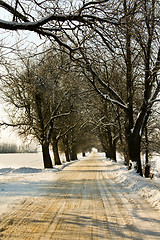 Image showing  road winter