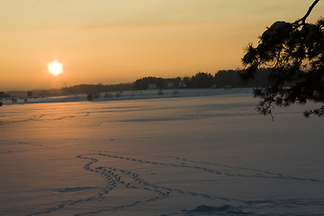 Image showing Sunset  