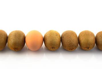 Image showing One egg in a row of kiwis