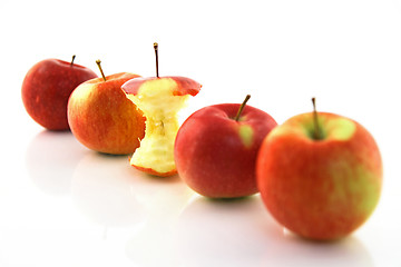 Image showing Apple core among whole apples, focus on the core