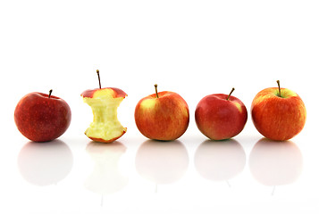 Image showing Apple core among whole apples