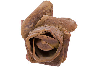 Image showing Salt Rose