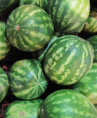 Image showing melons background