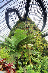 Image showing Cloud Forest at Gardens by the Bay