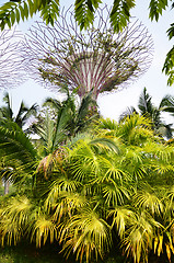 Image showing Gardens by the Bay