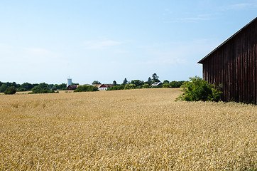 Image showing Old rural landscape