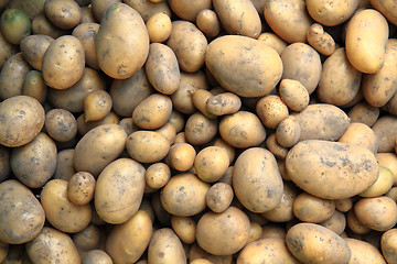 Image showing red potatoes background