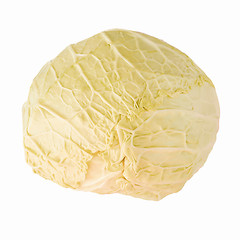 Image showing Retro looking Cabbage isolated