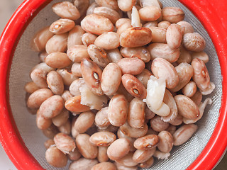 Image showing Borlotti beans vegetables