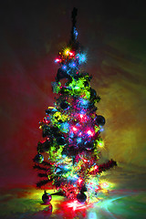 Image showing christmas tree from the color lights 