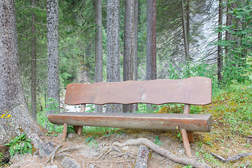 Image showing Empty bench in a Swiss forrest