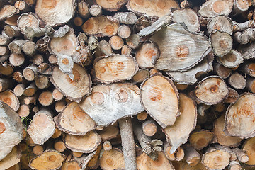 Image showing Dry chopped firewood logs 