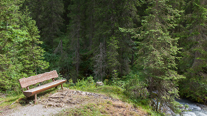 Image showing Empty bench in a Swiss forrest