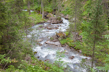 Image showing Waterfall in the forest