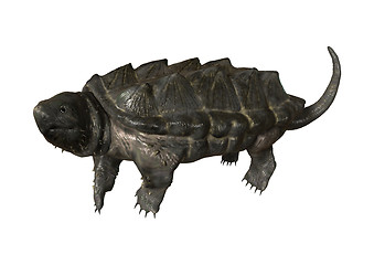 Image showing Alligator Snapping Turtle