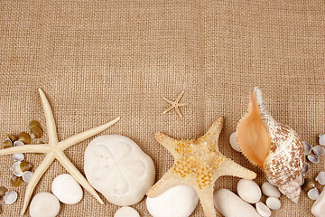 Image showing Sea shells and star fish postcard