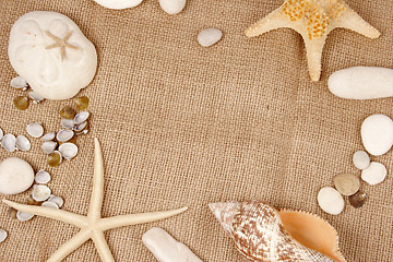 Image showing Sea shell and star fish