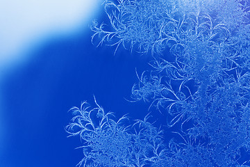 Image showing Winter frost