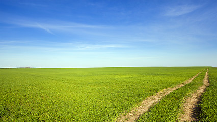 Image showing the rural road  