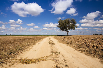 Image showing the rural road 