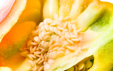 Image showing   seeds paprika