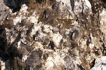 Image showing   rocks