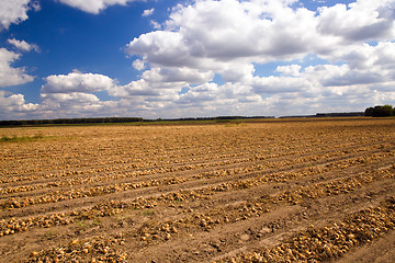 Image showing agricultural field 