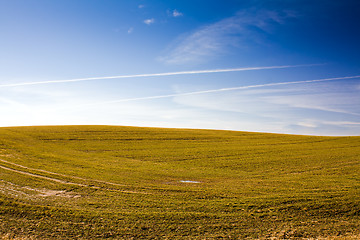 Image showing agricultural field  