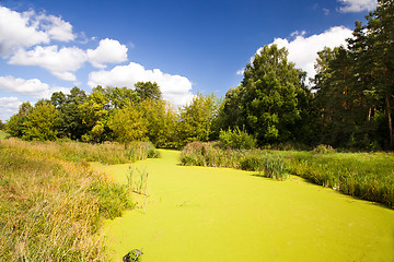 Image showing a small river  