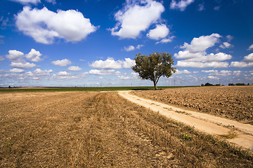 Image showing the rural road  