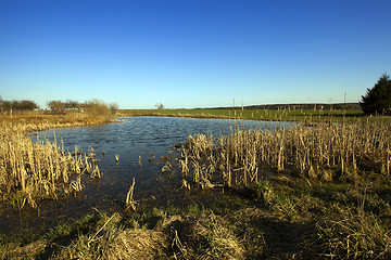 Image showing bog. fall  