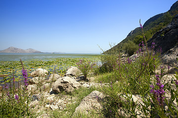 Image showing Lake Skadar  