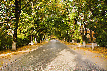 Image showing  road autumn