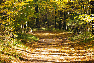 Image showing autumn road  