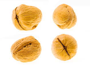 Image showing walnuts  