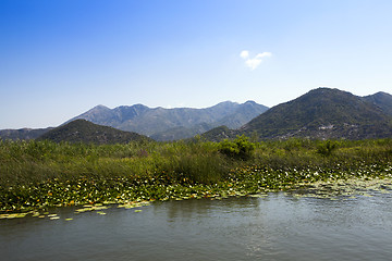 Image showing Lake Skadar. Montenegro  