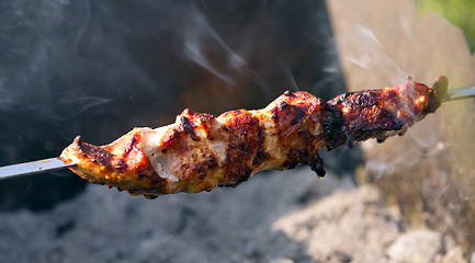 Image showing small shish kebab  